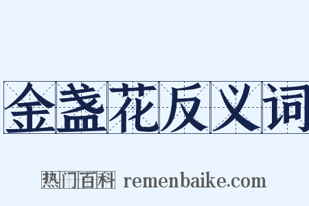 金盏花反义词是什么意思的图片